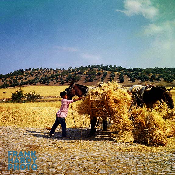 Spain_Boy in Field_RTP_23 Dec 13 SFW