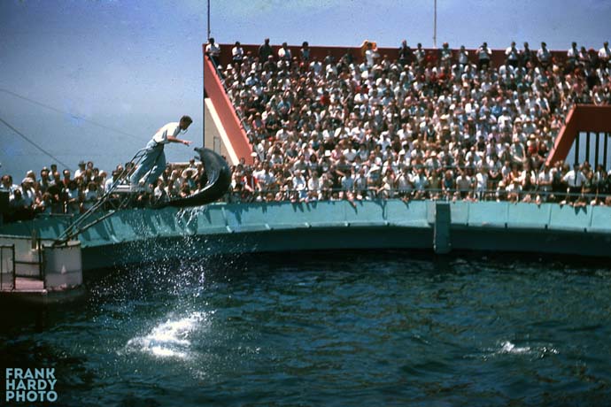 Marineland  1 _ RTP _ 16 April 14 _ SFW