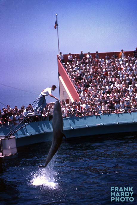 Marineland  2 _ RTP _ 16 April 14  SFW