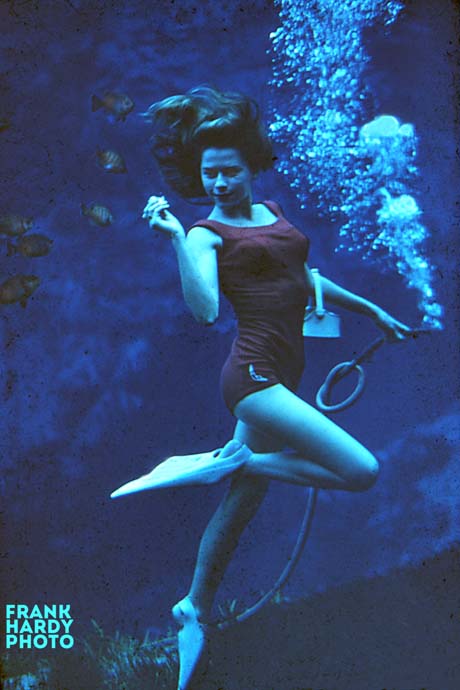 Weeki Wachee Springs and Bok Tower Gardens … | Frank Hardy