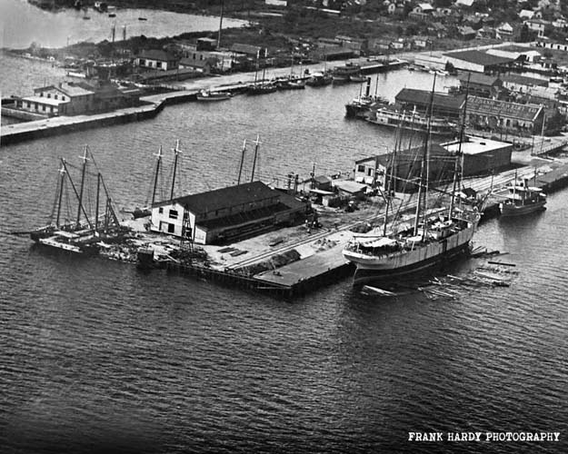 img_1127-palfox-pier-_5x4_30-nov-16_sfw